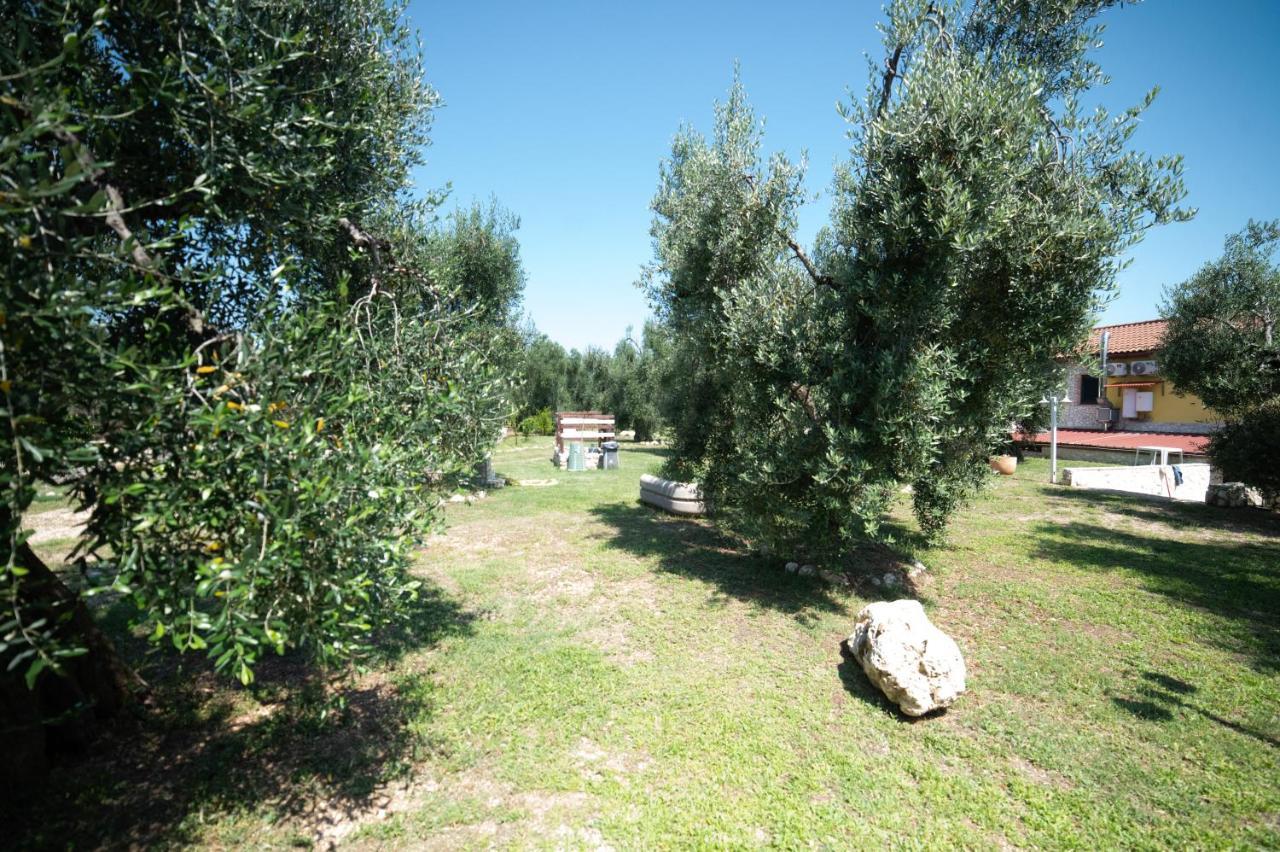 Bed and Breakfast Coppola Rossa Relax Vieste Exterior foto