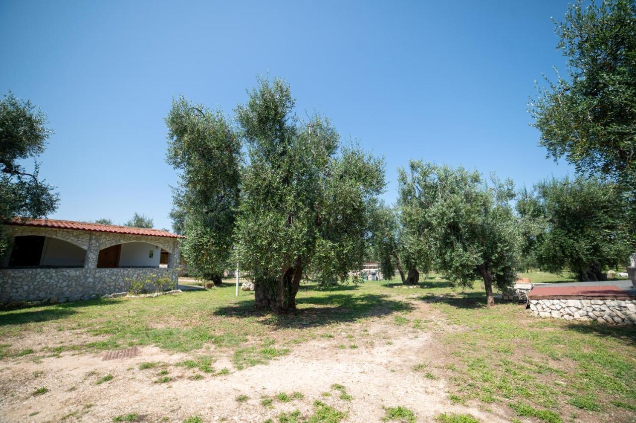 Bed and Breakfast Coppola Rossa Relax Vieste Exterior foto