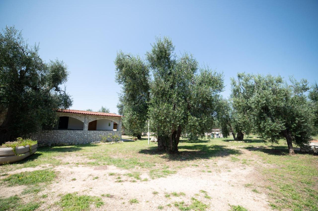 Bed and Breakfast Coppola Rossa Relax Vieste Exterior foto